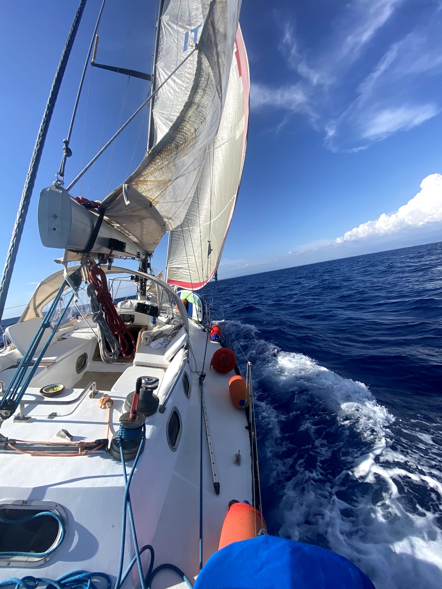 Cigolette 39 Flavia – Imbarcazione venduta da Gulliver Yachts e Charter